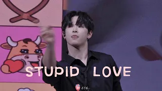 231125 STUPID LOVE——원어스 이도 직캠 (ONEUS LEEDO Fancam)