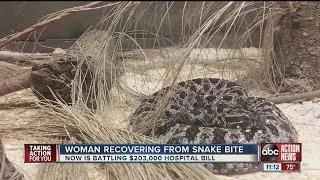 Woman steps on rattlesnake walking out her front door