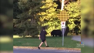 Close encounter with bear shows what not to do