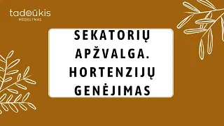 Sodo įrankių (sekatorių) apžvalga. Patarimai, kaip genėti hortenzijas