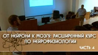 От нейрона к мозгу: расширенный курс по нейрофизиологии. 4 часть