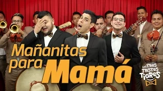 Mañanitas para Mamá | Los Tres Tristes Tigres