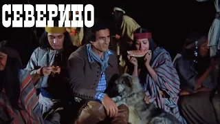 =Северино (Severino)= вестерн 1978 года для любителей кино про индейцев