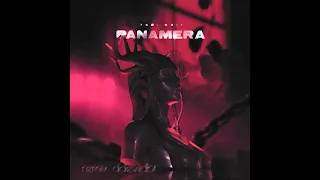 TORI KVIT - Девочка «Panamera» (remix ddevidbt)