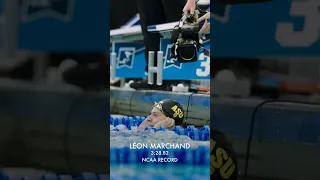 Leon Marchand 3:28.82 400 IM Celebration