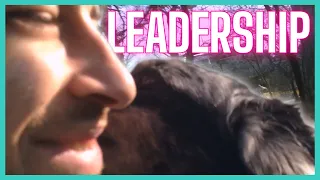 Educare un cane - Come essere un LEADER