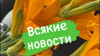 Всякие новости #онкология #рак  #ленахеппи #ракмолочнойжелезы #биопсия #lenahappy химиотерапия