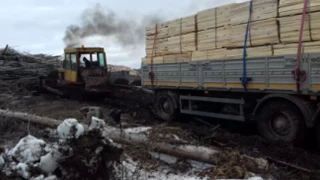 Трактор вытаскивает груженый прицеп МАЗ из грязи