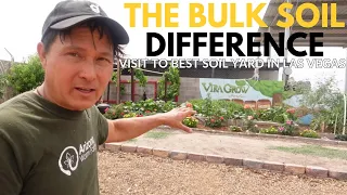 Desert Vegetable Gardening: Success or Failure Depends on the Soil