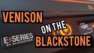 BLACKSTONE E-SERIES (VENISON)