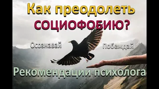 Как преодолеть СОЦИОФОБИЮ? l Рекомендации психолога.