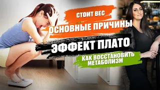 Эффект ПЛАТО! Почему Стоит Вес? Основные Причины и Пути Решения! Как Восстановить Метаболизм!