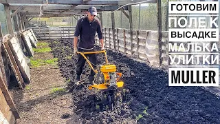 Как подготовить поле для улитки🐌 Вспашка и посев травы🍀Начало Сезона 2024 на Улиточной Ферме