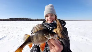 ПОЙМАЛА ОКУНЯ НА ЖЕРЛИЦУ. Рыбалка в конце марта. Аятское водохранилище.