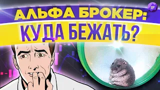 Куда и как бежать из Альфы и что будет с остальными брокерами?