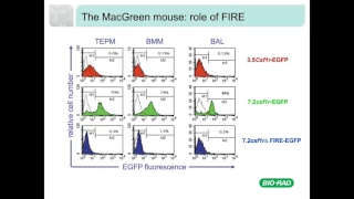 CSF1, CSF1R and Control of Macrophage Differentiation