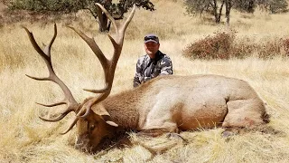 Archery Tule Elk Hunt - Oak Stone Outfitters