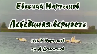 Евгений Мартынов -Лебединая верность- караоке (-1)