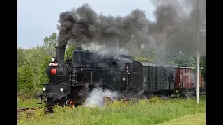 Parní lokomotiva 423.0145 - Parním vlakem Českým rájem 8.7.2017