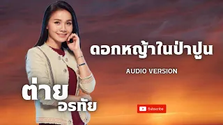 ดอกหญ้าในป่าปูน - ต่าย อรทัย 【AUDIO VERSION】