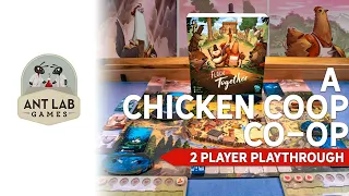 Flock Together Board Game | 2 Player Playthrough | Preview