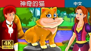 神奇的猫 | The Magical Kitty Story in Chinese | 睡前故事 | 中文童話