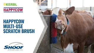 Happycow Multi-Use Scratch Brush