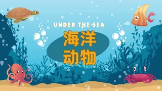 【海洋动物Ocean Animals】鲨鱼🦈 螃蟹🦀️ 章鱼🐙  蓝鲸🐳大海里的奇妙生物 Ocean Animals and Marine Life in Chinese