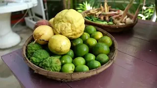 RIVER MONSTER Amazon Fish Ceviche Bangkok Seafood Thailand