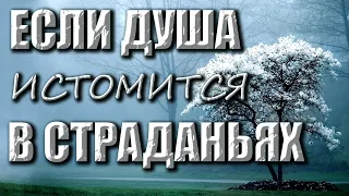 Сборник христианских песен | Если душа истомится в страданьях