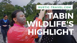 Tabin Wildlife Reserve's Highlights by Rustic Travel