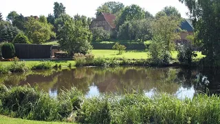 Dorfposse: Bürgermeisterin verschandelt den Teich im Ort | Panorama 3 | NDR