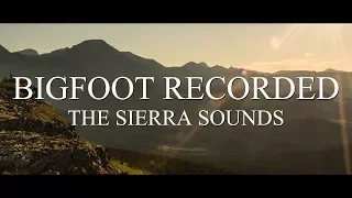 BIGFOOT RECORDED!! THE SIERRA SOUNDS - Mountain Beast Mysteries Episode 10.