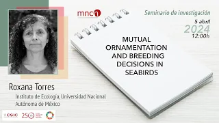 Mutual ornamentation and breeding decisions in seabirds