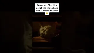 Yoda spricht, wenn der Chef fragt, ob du morgen wieder zur Arbeit kommst