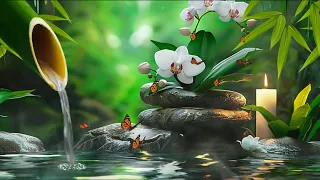 Relaxing Piano Music 24/7🌿Reduce stress, Deep sleep, Stress Relief, Bamboo Water, Water Sound