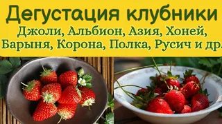 Дегустация клубники. Обзор. 12 сортов. Джоли, Альбион, Хоней, Барыня, Полка, Корона и др.