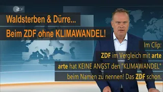 Waldsterben: Beim ZDF ohne Klimawandel | Vergleich mit ARTE