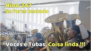 HINO 247 SE FORES TENTADO - Ensaio regional CCB Transilvânia 16.07.2023 (Joaquim do Jaçanã)