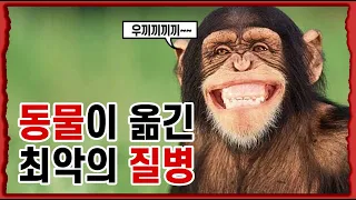 에이즈는 도대체 어디서 온 것일까? / 에이즈의 오해와 진실