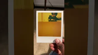 Polaroid SX-70 Photo Results