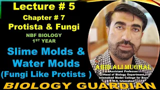 Fungi Like Protists | Slime Molds (Myxomycotes) & Water Molds (Oomycotes) Lecture 5 Ch 7 NBF Bio-11