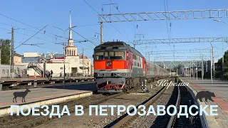 Поезда в Петрозаводске