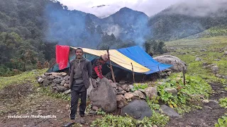 Most Peaceful and Relaxing Natural Himalayan Village Life | Living With Beautiful Nature | Real Life