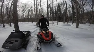 SKIDOO EXPEDITION SWT 900 ACE! back country/work sled great performance in the snow