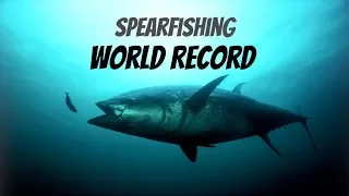 Spearfishing World Record - Bluefin Tuna 300 KG (650 LB)