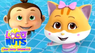 Lagu renang | Musik untuk anak-anak | Loco Nuts | Video animasi | Kartun pendidikan