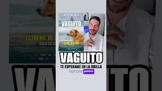 #VAGUITO me conmovió hasta las lágrimas 😢 🐕 | #REACCIÓN 🎬