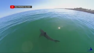 Santa Cruz Surf Community Mourns Shark Attack Victim Ben Kelly