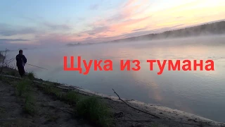 Щука из тумана.